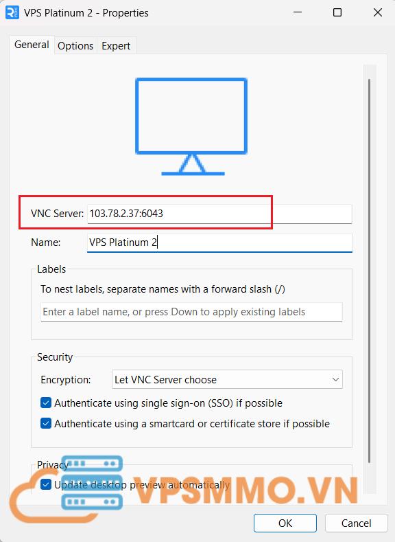 vnc10