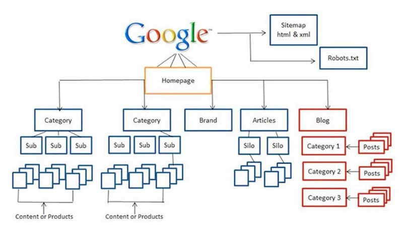 Các trang web (Web Page) quan trọng