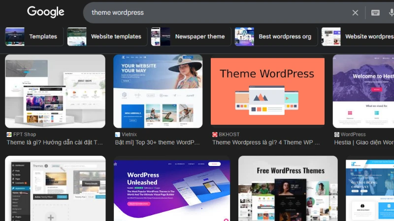 Lựa chọn và cài đặt giao diện (Theme)