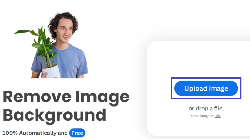 Nhấn vào nút "Upload Image" hoặc đơn giản là kéo và thả ảnh của bạn vào trang web