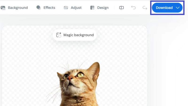 Sau vài giây, công cụ sẽ tự động xóa nền. Bạn có thể nhấn "Download" để tải về ảnh PNG nền trong suốt hoặc nhấn "Edit" để thêm nền mới