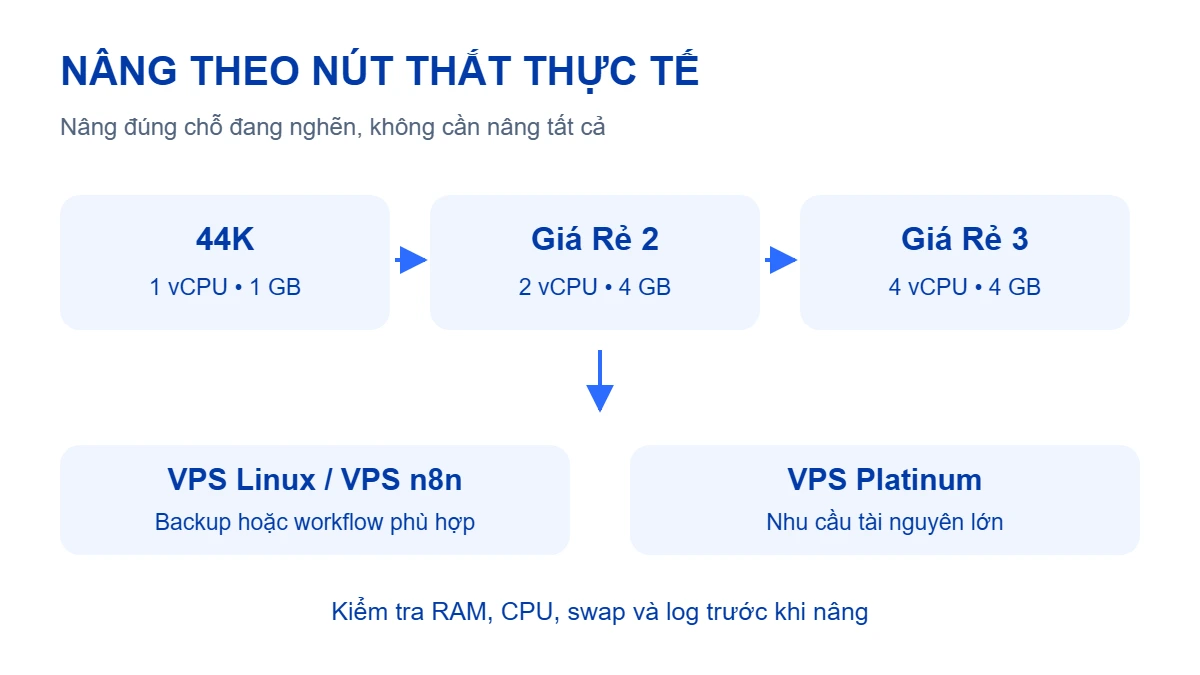 Các hướng nâng từ 44K sang Giá Rẻ 2, Giá Rẻ 3 hoặc chọn dòng Linux, n8n, Platinum theo nhu cầu