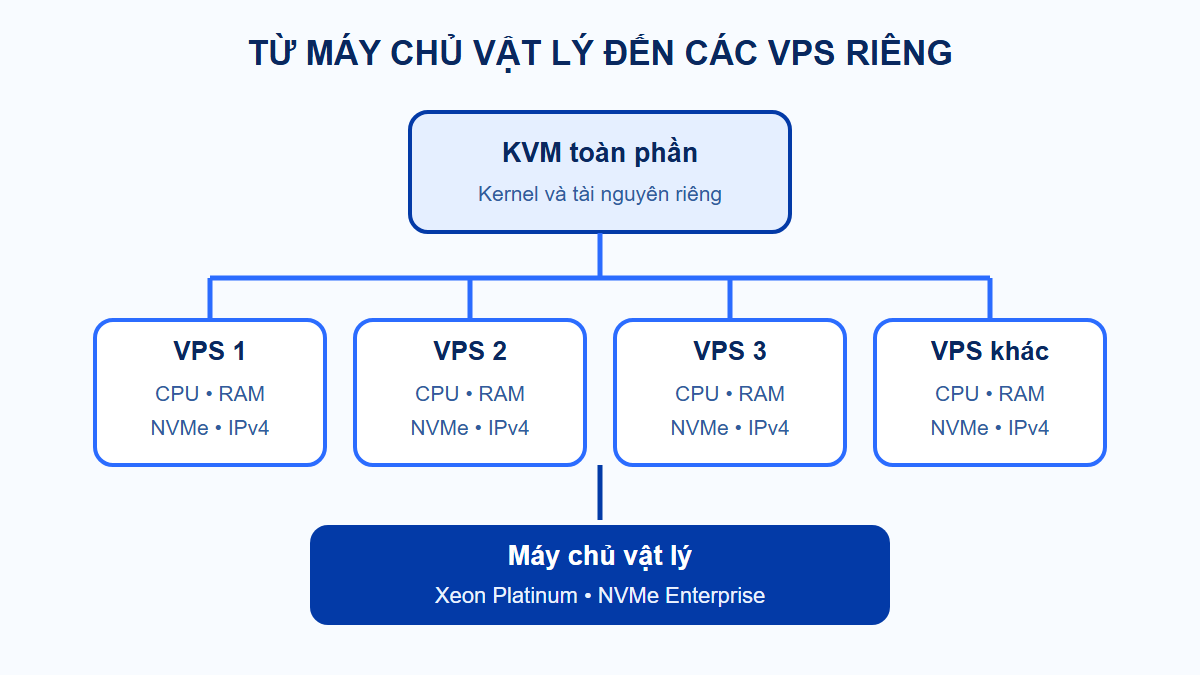 Sơ đồ máy chủ Xeon Platinum và NVMe Enterprise phân bổ VPS riêng qua KVM