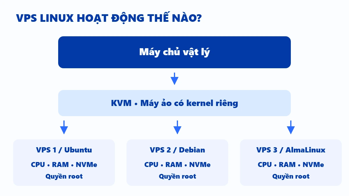 VPS Linux là gì: máy chủ vật lý chia các máy ảo qua KVM