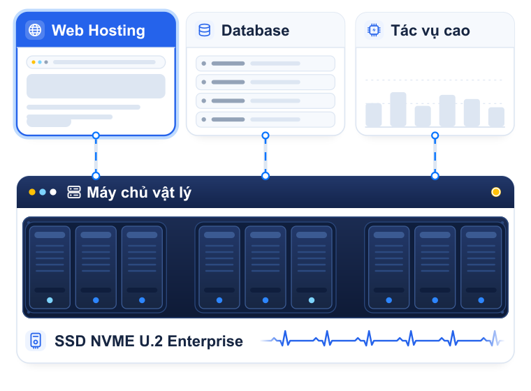 Minh họa thuê VPS cho Web Hosting, Database và tác vụ cao: dữ liệu truyền xuống máy chủ vật lý dùng ổ SSD NVME U.2 Enterprise
